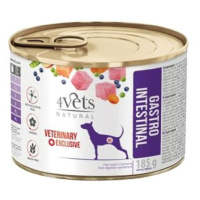 4Vets Natural Veterinary Exclusive Gastro Intestinal Dog 185 g