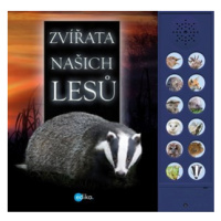 Zvířata našich lesů | Hana Marsault, Andrea Pinnington, Caz Buckingham