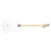 Fender Player Telecaster MN PWT