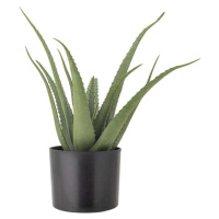 Umělá rostlina (výška 61 cm) Aloe – Bloomingville