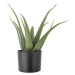 Umělá rostlina (výška 61 cm) Aloe – Bloomingville