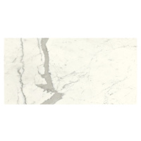 Dlažba Graniti Fiandre Marble Lab Calacatta Statuario 60x120 cm pololesk AS192X864