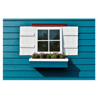 Umělecká fotografie Window with flower box., moointer, (40 x 26.7 cm)
