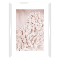 Dekoria Plakát Pastel Pink II, 50 x 70 cm, Zvolit rámek: Bílý