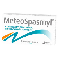 Meteospasmyl 60mg 20 tobolek