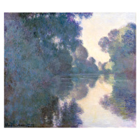 Obrazová reprodukce Morning on the Seine, Effect of Mist, Claude Monet, 40 × 35 cm