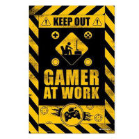 Gameration: Gamer At Work - plakát