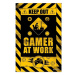 Gameration: Gamer At Work - plakát