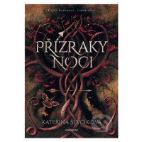 Přízraky noci (Čtyři hrdinové, jeden úkol) - Kateřina Ševčíková - kniha z kategorie Fantasy