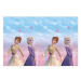 Frozen party - Ubrus omyvatelný Frozen 120 x 180 cm