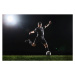 Fotografie Soccer player kicking ball on grass,, Stanislaw Pytel, 40x26.7 cm