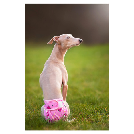 Vsepropejska Táňa hárací kalhotky pro psa Barva: Růžová, Obvod slabin (cm): 34 - 56
