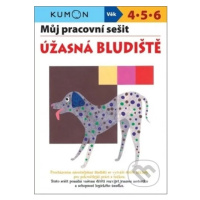 Můj pracovní sešit: Úžasná bludiště - Toshihiki Karakido, Yoshiko Murakami, Masako Watanabe - kn