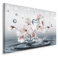 Plátno Květy Magnólie s 3D Kapkami Vody Varianta: 70x50