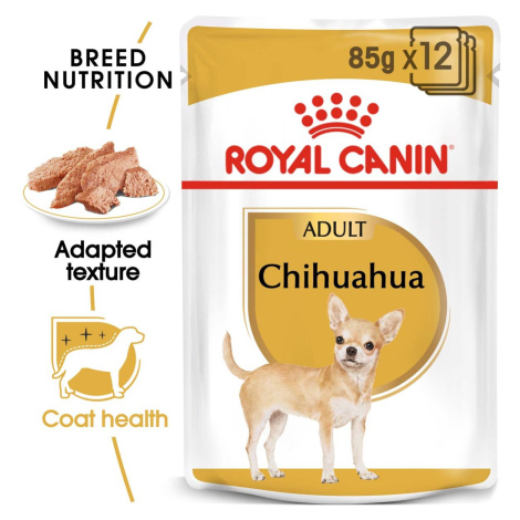 ROYAL CANIN Chihuahua Adult kapsička pro psy 12× 85 g
