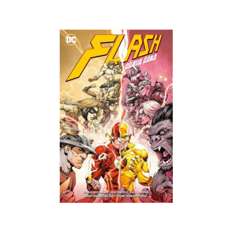 Flash 15: Cílová čára