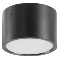 LED Stropní svítidlo MIRELLA 1xGX53/6W/230V černá