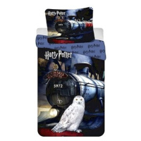 Harry Potter, 140×200 cm