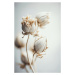 Fotografie Beige Felt Flowers, Treechild, (26.7 x 40 cm)