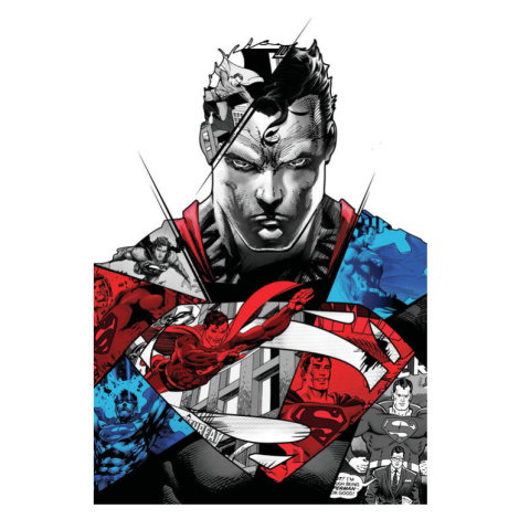 Plakát, Obraz - Superman - Split, 80x120 cm