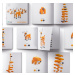 PIXIO Orange Animals magnetická stavebnice