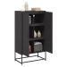 vidaXL Skříň highboard černá 68,5 x 38,5 x 123,5 cm ocel