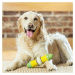 Hračka pro psy PetSafe® Busy Buddy Corncob - M/L