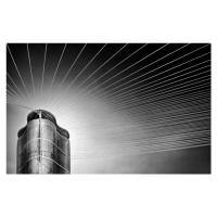 Fotografie tower of the strings, Linda Wride, 40x26.7 cm