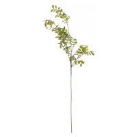 Dekoria Větvička Green Twig100 cm, 20 x 5 x 100 cm