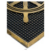 Gumová rohožka - předložka FASHION SCRAPER II. černá/zlatá 40x60 cm MultiDecor