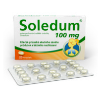 SOLEDUM 100MG enterosolventní měkké tobolky 20