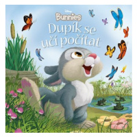 Disney Bunnies - Dupík se učí počítat | Kolektiv