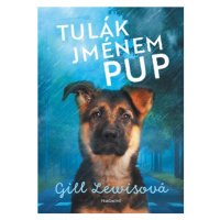 Tulák jménem Pup | Gill Lewisová, Gill Lewisová, Adriana Pavliková