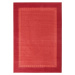 Červený koberec Hanse Home Basic, 120 x 170 cm