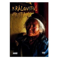 Království Mustang - DVD