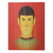 Obraz na plátně Star Trek - Beaming Spock - 50th Anniversary, 2 cm - 60×80 cm