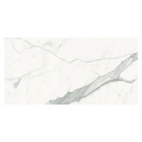 Dlažba Graniti Fiandre Marble Lab Calacatta Stat. 120X60 cm AL192X864