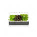 Click and Grow Smart Garden 9 chytrý květináč + 9ks kapslí se semínky šedý