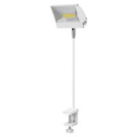 Steinigke Showtechnic EUROLITE KKL-30 LED lampa se svorkou 30W bílá