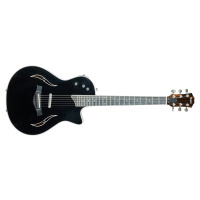 Taylor 2019 T5z Standard Black