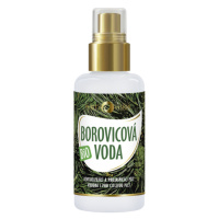 PURITY VISION Bio Borovicová voda 100 ml