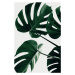 Ilustrace Monstera Natural 43, Studio Collection, 26.7 × 40 cm