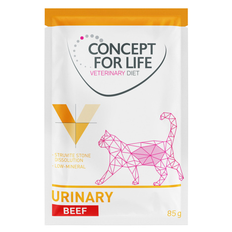 Concept for Life Veterinary Diet Urinary Beef - 24 x 85 g