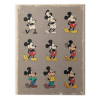 Obraz na plátně Mickey Mouse, (80 x 60 cm)