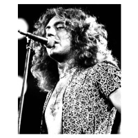 Fotografie ROBERT PLANT, 30 × 40 cm