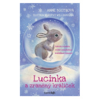 Lucinka a zraněný králíček - Boothová Anne