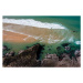 Fotografie Aerial view, water lapping rocky coast, Portugal, imageBROKER/Sonja Jordan, 40x26.7 c