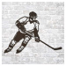 Dárek pro hokejistu - Dřevěný obraz na zeď