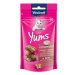 Pochoutka Vitakraft Cat Yums s játry 40g