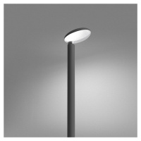 Artemide Poto antracitová šedá T082620